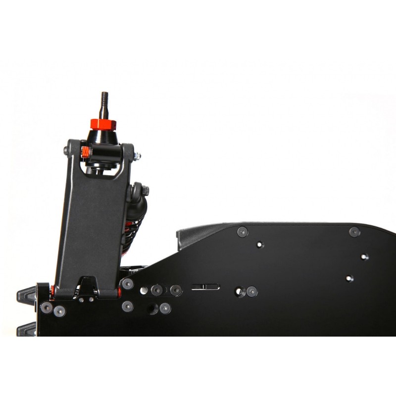 d819 rs