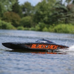 BlackJack 42"