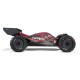 1/8 TYPHON 6S V5 4WD BLX BUGGY 