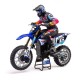 Losi Promoto-MX Moto RTR